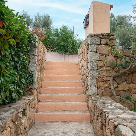 Maestrale Aris - Klodge *